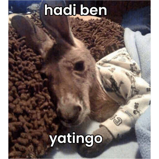 Çıkartmalarım 5