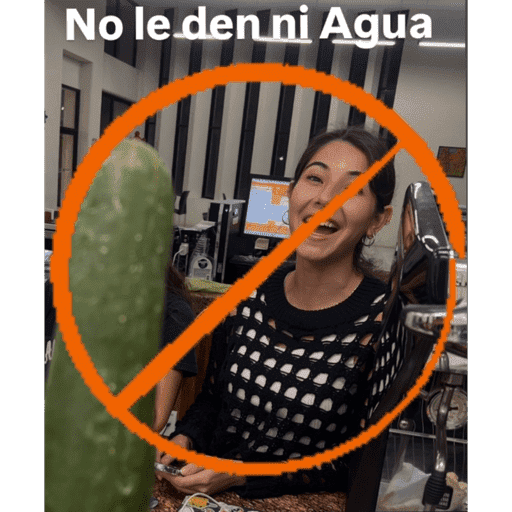 Ri que ri 21