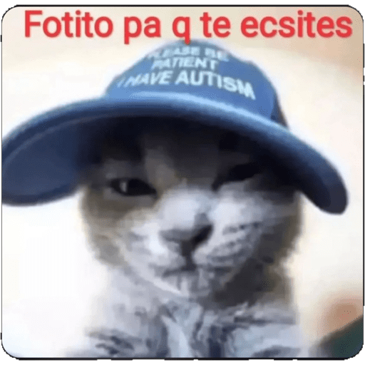 Ri que ri 8
