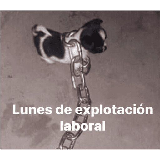 Ri que ri 13