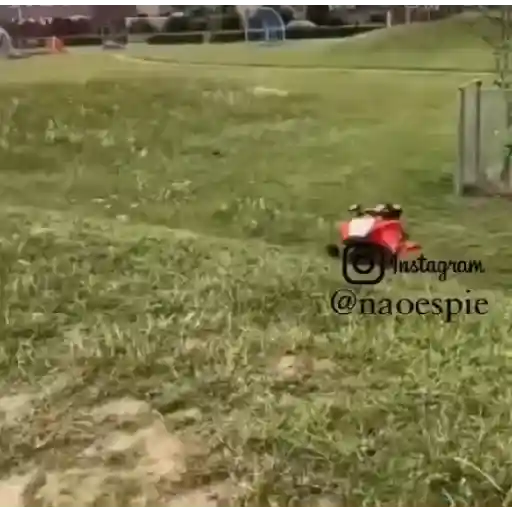 Gifs Vários  11