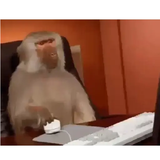 Gifs Vários  18