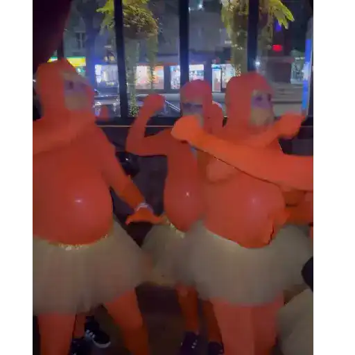 Gifs Vários  25