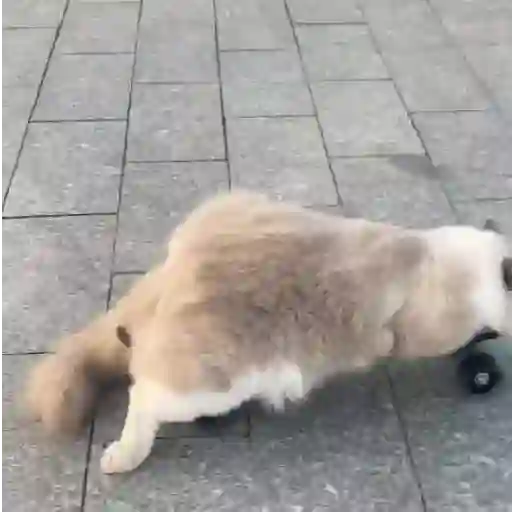 Gifs Vários  2