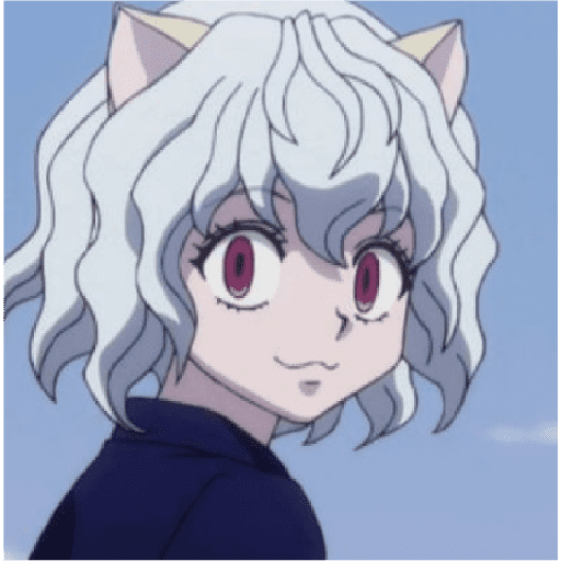 Nerferpitou 21