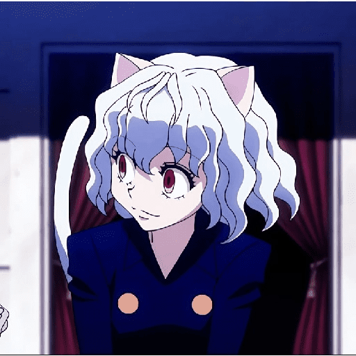 Nerferpitou 12