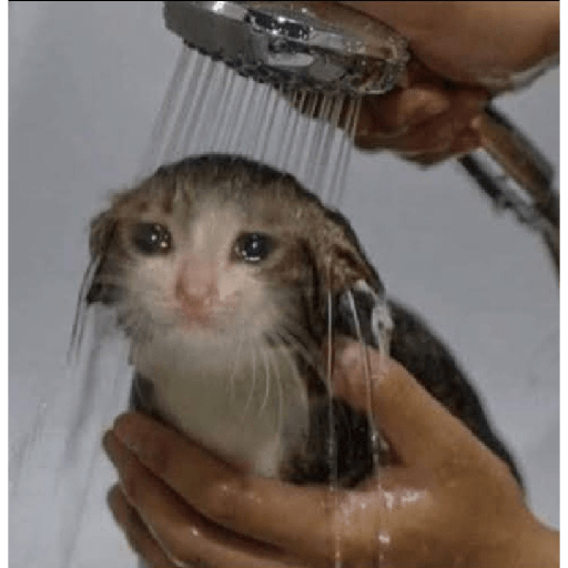 Cry 9