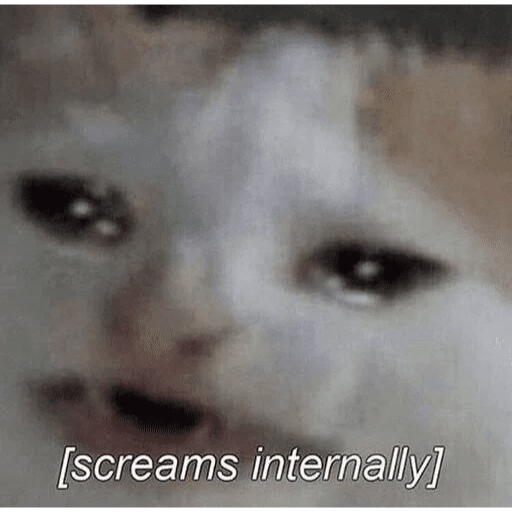 Hanni reacts 8
