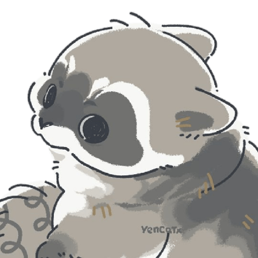 Mapache 13