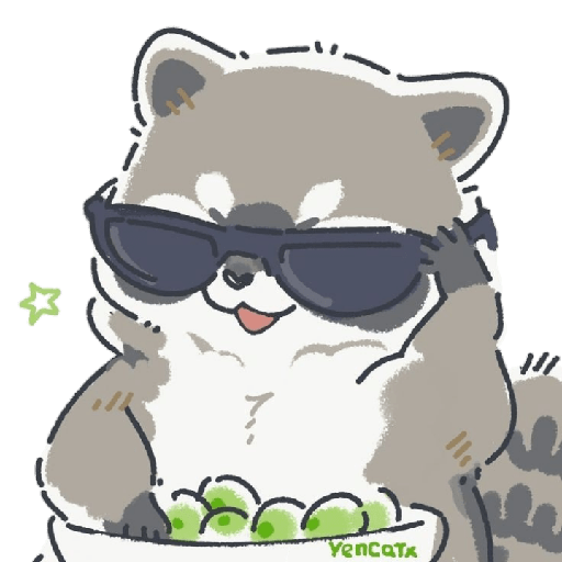 Mapache