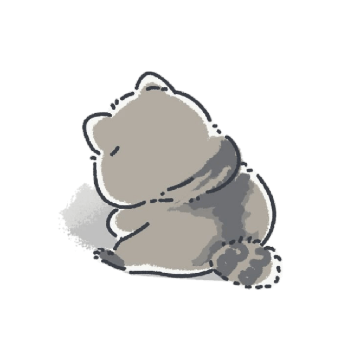Mapache 29