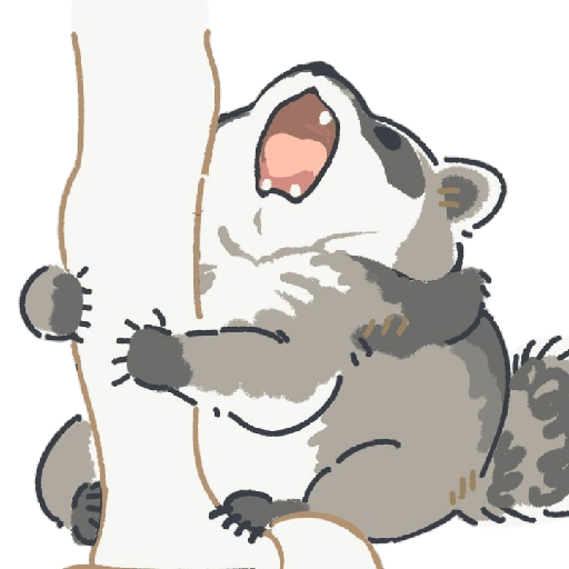Mapache 22
