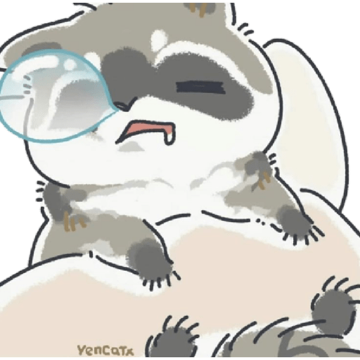 Mapache 24