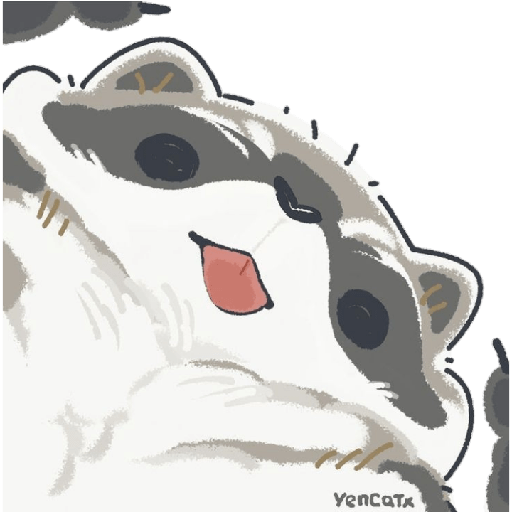 Mapache 19