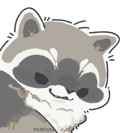 Mapache 27