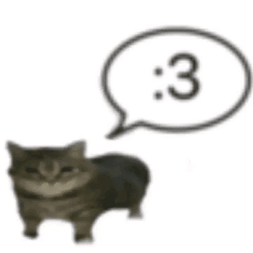 Cat :p 11