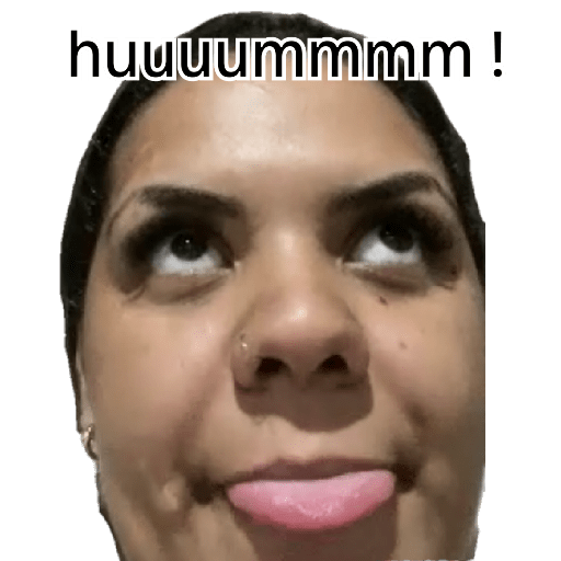 Família  13