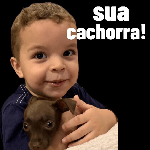 Família  10