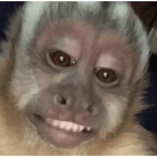 Monyet Lusyu sticker