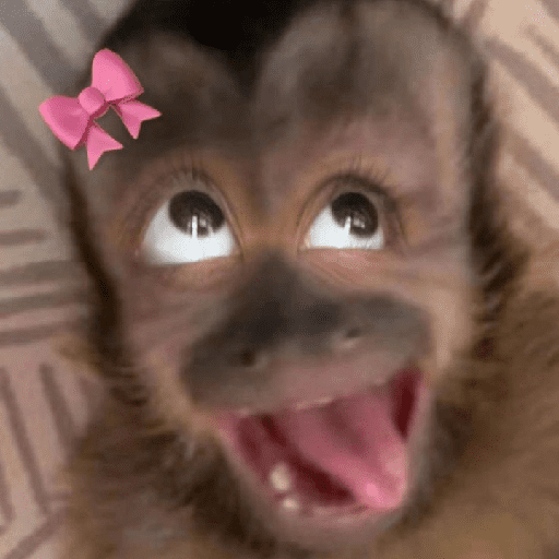 Monyet Lusyu sticker