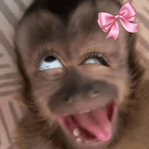 Monyet Lusyu sticker