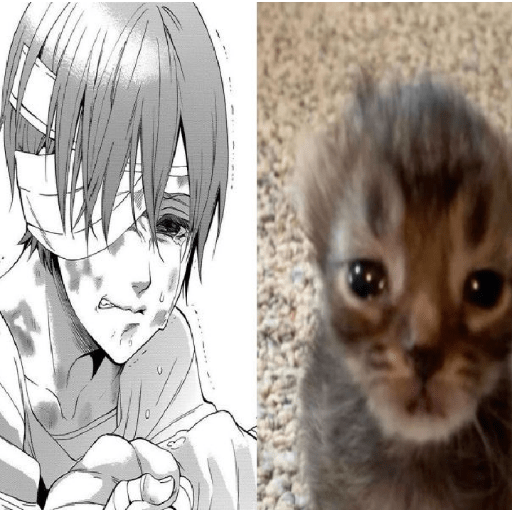 にㅤㅤׅㅤCieۨl  ㅤׄ    ✿ 7
