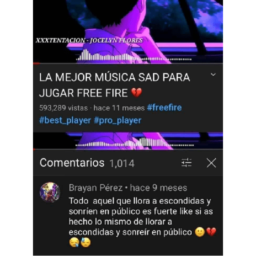 Potaxies 23