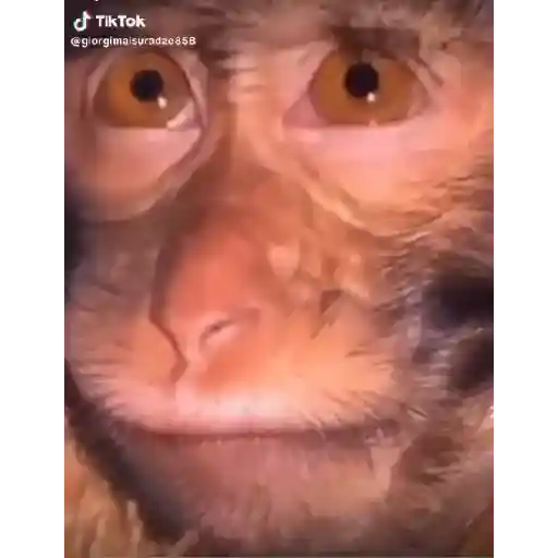 IWannaFuckYou