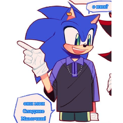 Sonics 29