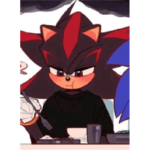 Sonics 25