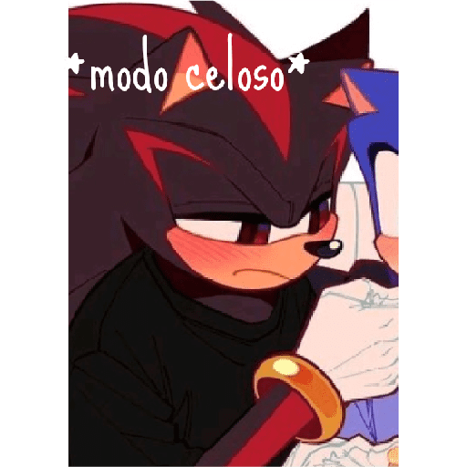 Sonics 23