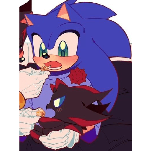 Sonics 22