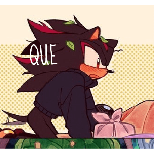 Sonics 21