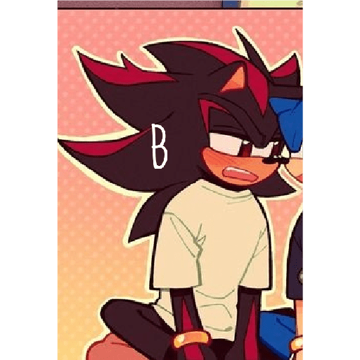 Sonics 19