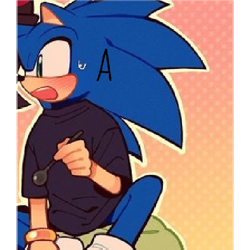Sonics 18