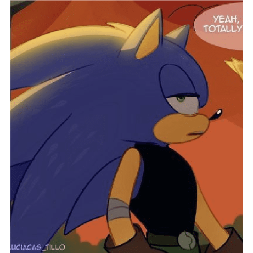 Sonics 16