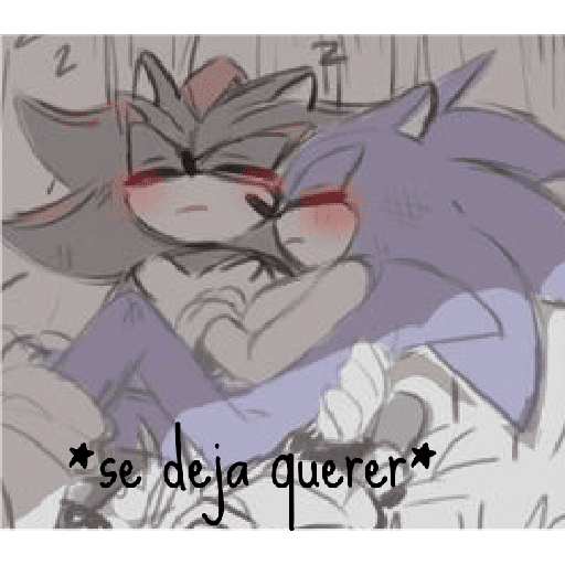 Sonics 12