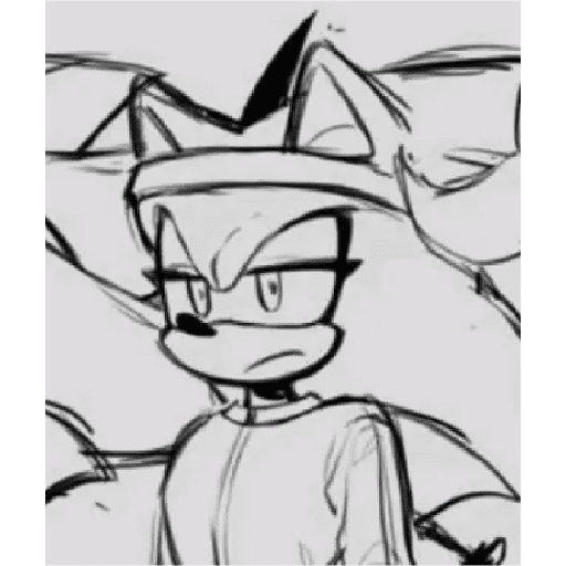 Sonics 8
