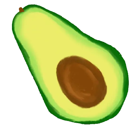 Aguacate 3