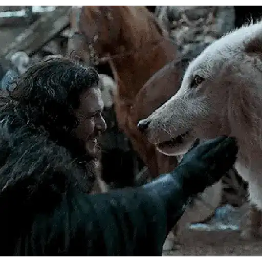 Jon Snow RP 21