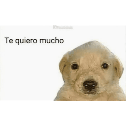 Uwu 16