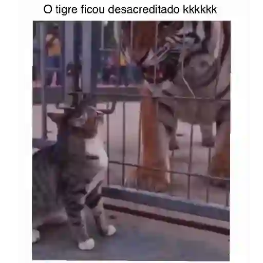 Catarrento kkkkk 18
