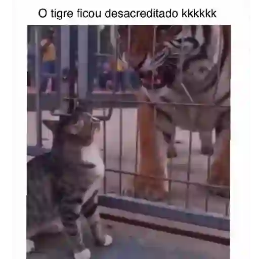 Catarrento kkkkk 17