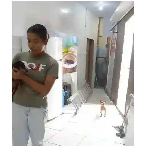 Catarrento kkkkk 16