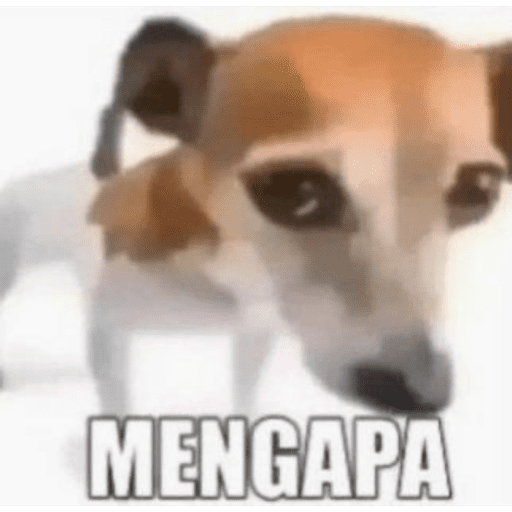 Dgaf 9