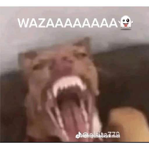 AAAAAAAAAAAAAAAAAAAAAAAAAAAAA  14