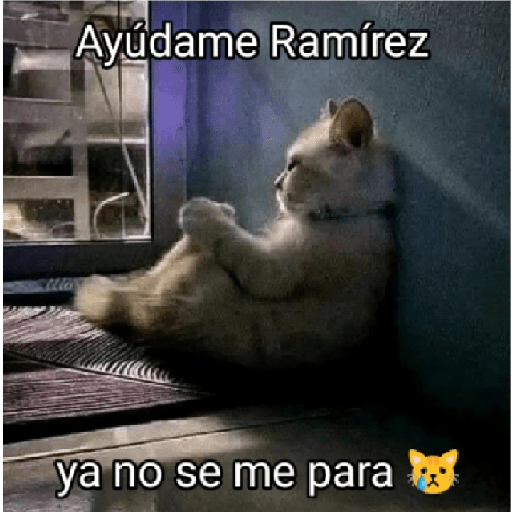 AAAAAAAAAAAAAAAAAAAAAAAAAAAAA  26