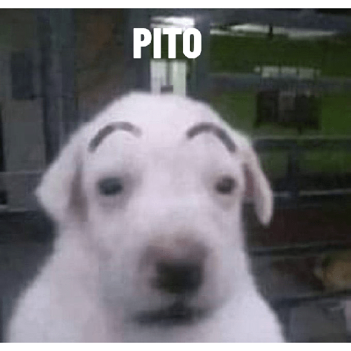 Tu mamá pack 21
