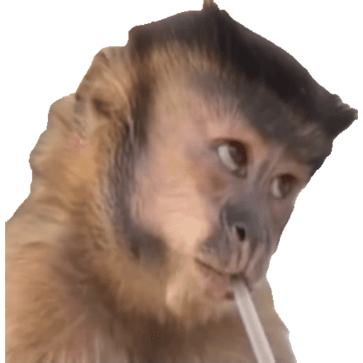 My stickers 19