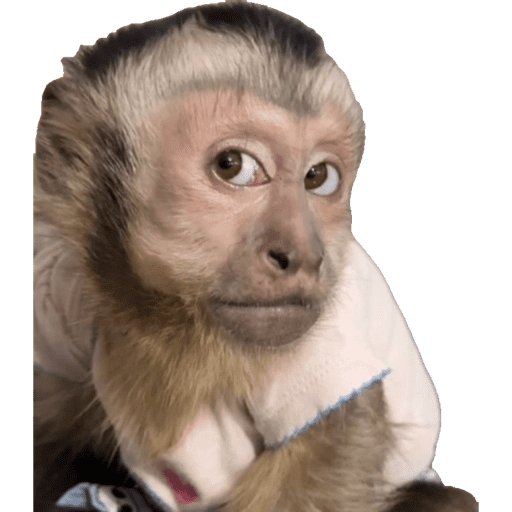 My stickers 18